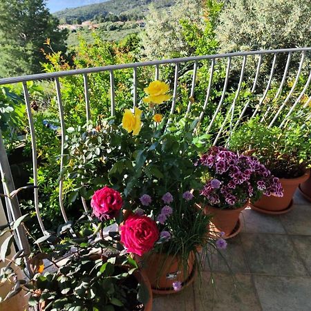 B&B Easy Wind Cala Gonone Zewnętrze zdjęcie