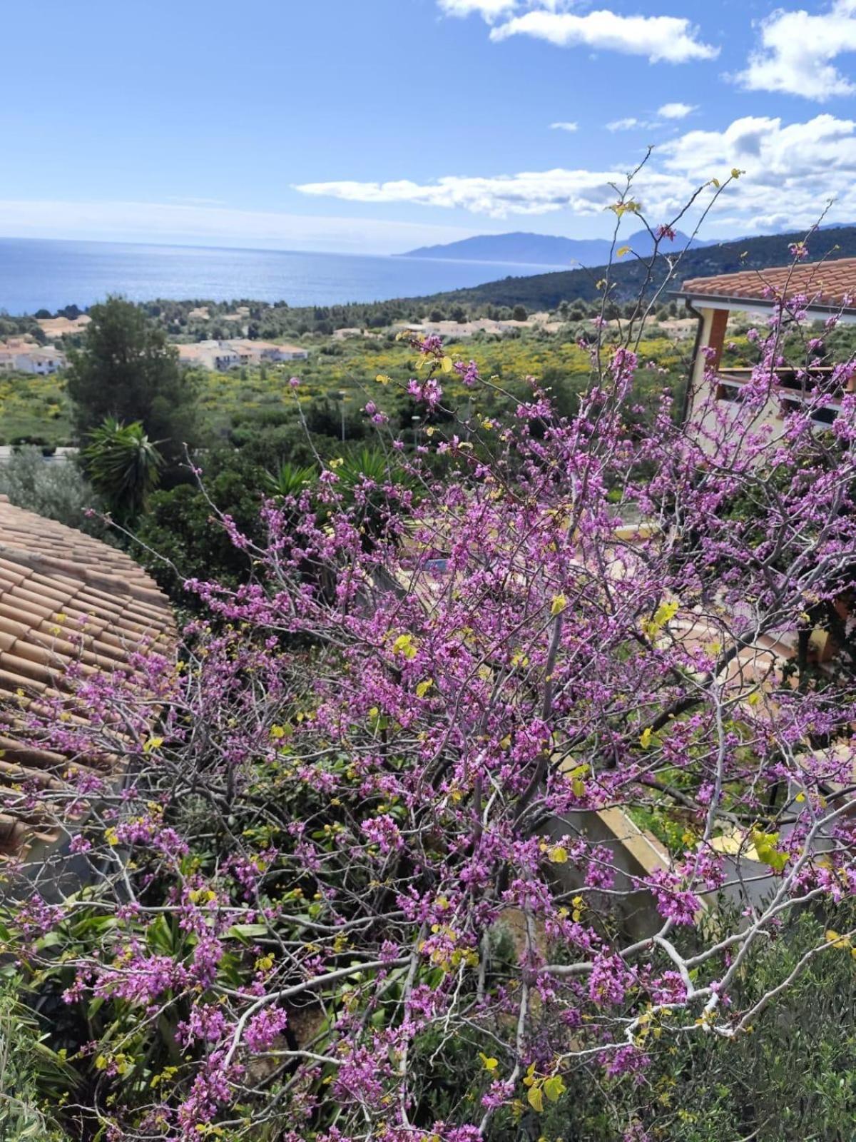 B&B Easy Wind Cala Gonone Zewnętrze zdjęcie