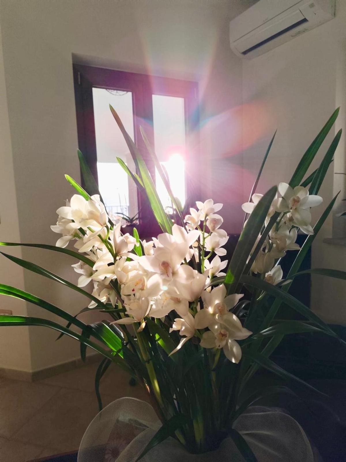 B&B Easy Wind Cala Gonone Zewnętrze zdjęcie